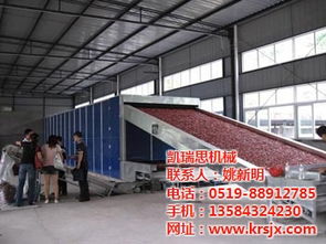 烘干設(shè)備 萬(wàn)壽菊烘干設(shè)備 凱瑞思機(jī)械公司實(shí)力雄厚 多圖