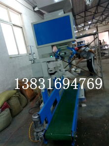 糧食定量包裝機(jī) 化工粉劑稱重計(jì)量包裝秤 顆粒定量包裝機(jī) ,大城縣華創(chuàng)保溫機(jī)械設(shè)備廠